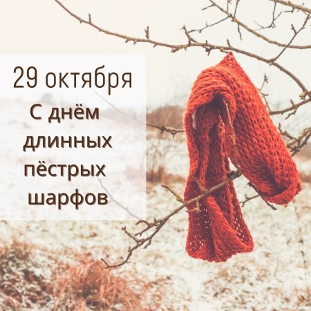 День длинных пестрых шарфов