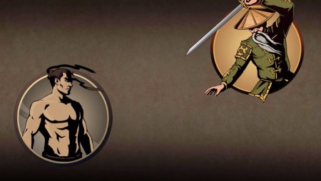 Отшельник из Shadow Fight 2