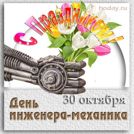 День индинерамеханника