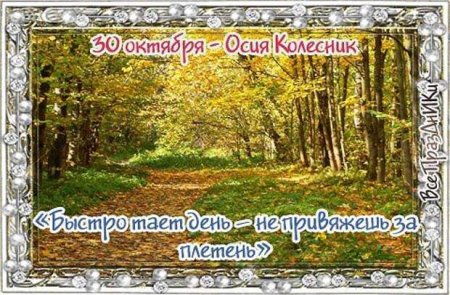 Осия Колесник народный праздник