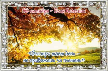 Осия Колесник народный праздник