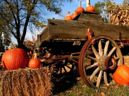 Телега с урожаем