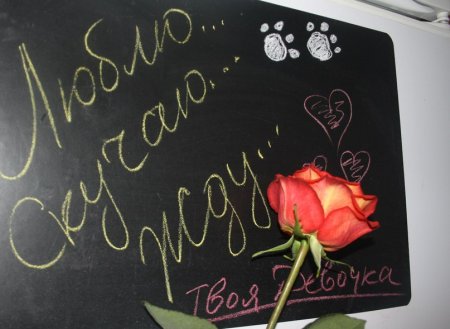 Жду встречи с тобой любимый