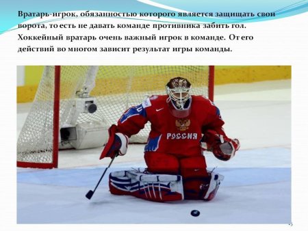 День хоккейного вратаря