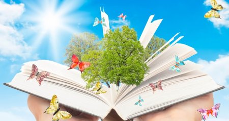Всемирный день книги