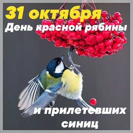 День рябины и синиц