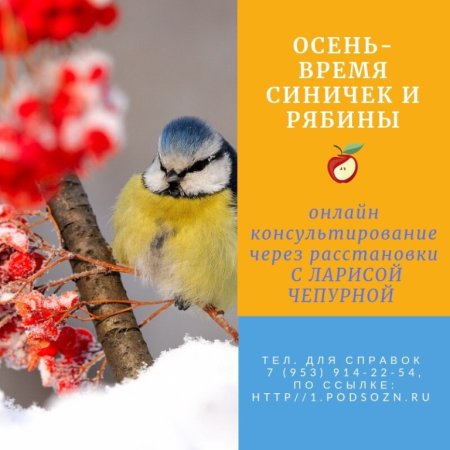 День красной рябины и синицы
