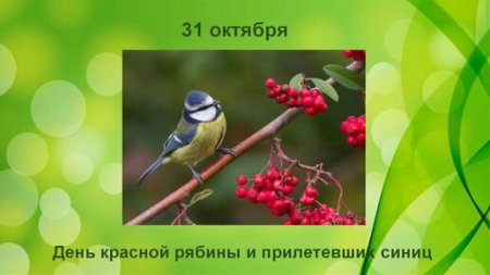 День красной рябины и прилетевших синиц 31 октября картинки