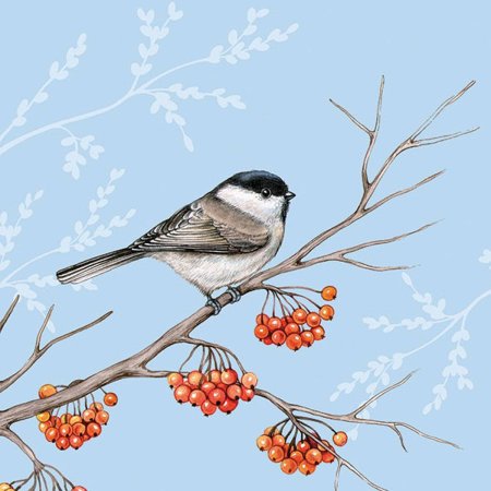 Синичка на рябине