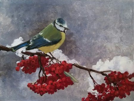 Синица на рябине