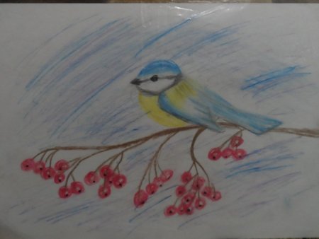 Рисунок детский синица на рябине