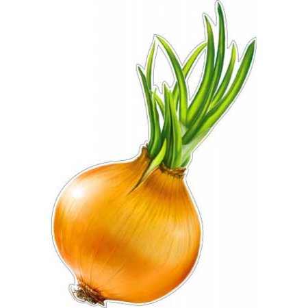 Лук для дошкольников