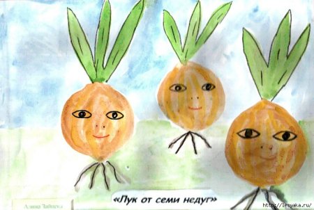 Рисование в средней группе луковицы