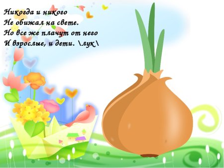 Загадка про лук для детей