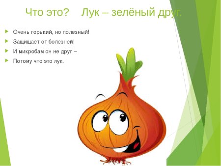 Проект зеленый лук