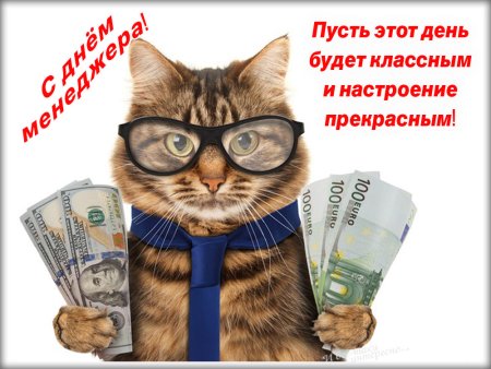 Кот с деньгами