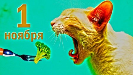 Всемирный день вегана 1 ноября