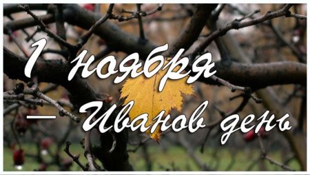 Иванов день 1 ноября