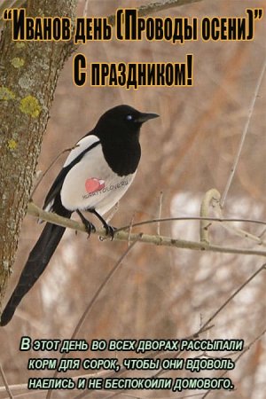 Иванов день картинки 1 ноября