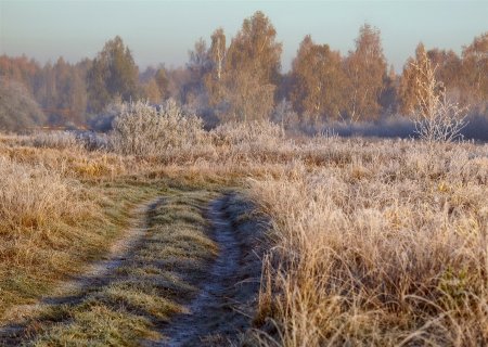 Проводы осени