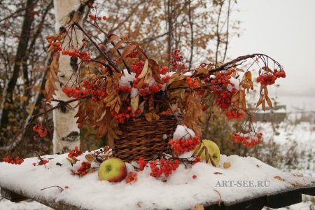 Поздняя осень, предзимье