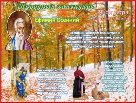 28 Октябрь праздник Ефимий осенний