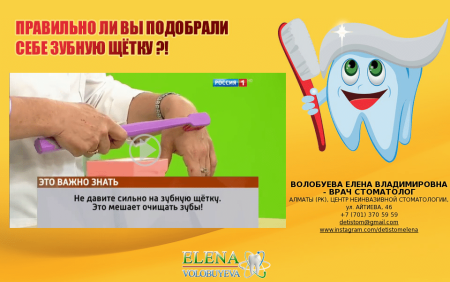 26 Июня день зубной щетки
