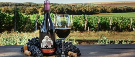 Международный день вина «Пино-Нуар» (International Pinot Noir Day)
