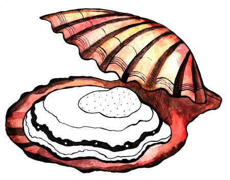 Устрица рисунок