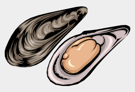 Мидии вектор