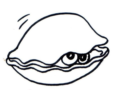 Моллюски раскраска