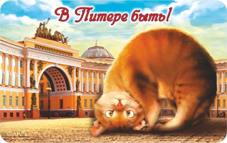 Магнитики Питер с котами