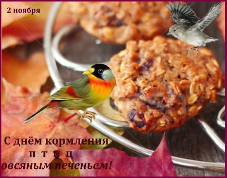 День кормления птиц овсяным печеньем