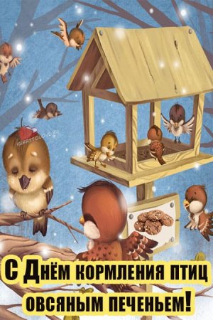 День кормления птиц