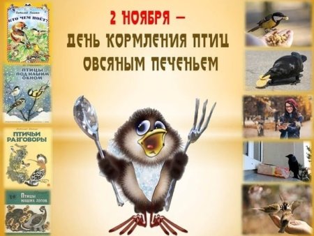 День кормления птиц