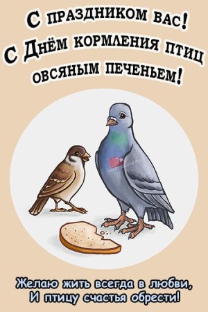 День кормления птиц овсяным печеньем