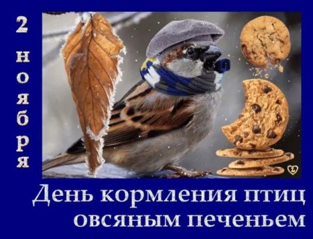 День кормления птиц овсяным печеньем 2 ноября