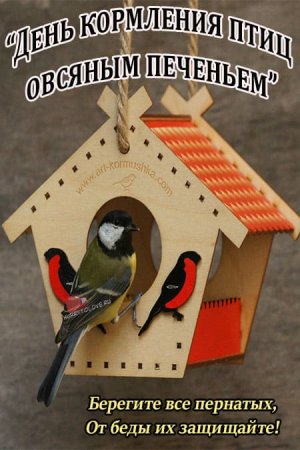 День кормления птиц овсяным печеньем открытки