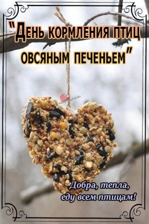 День кормления птиц овсяным печеньем