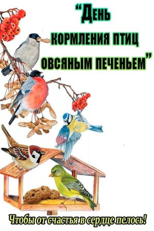 День кормления птиц овсяным печеньем открытки