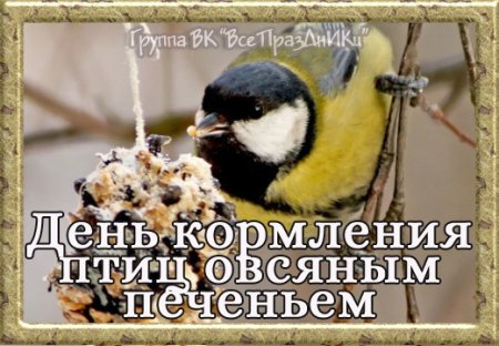 День кормления птиц