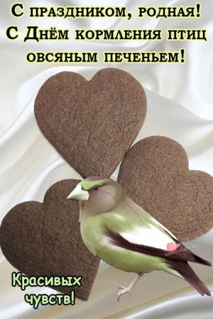 День кормления птиц овсяным печеньем