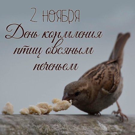 Можно не высыпаться быть усталым измотанным