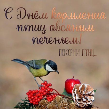 Синичка осень