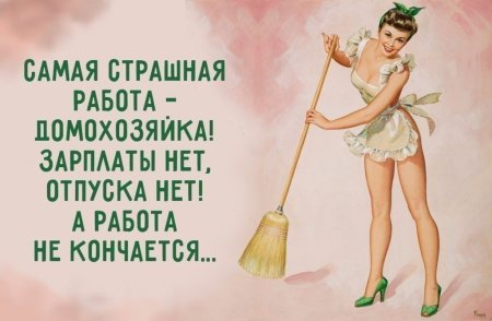 Высказывания о домохозяйках