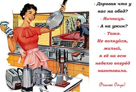 Высказывания о домохозяйках