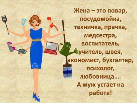 Высказывания о домохозяйках