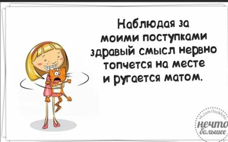 День здравого смысла