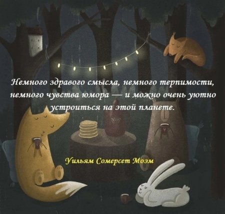 Немного здравого смысла немного терпимости немного чувства юмора