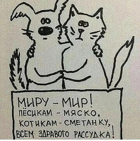 Мир Дружба жвачка прикол